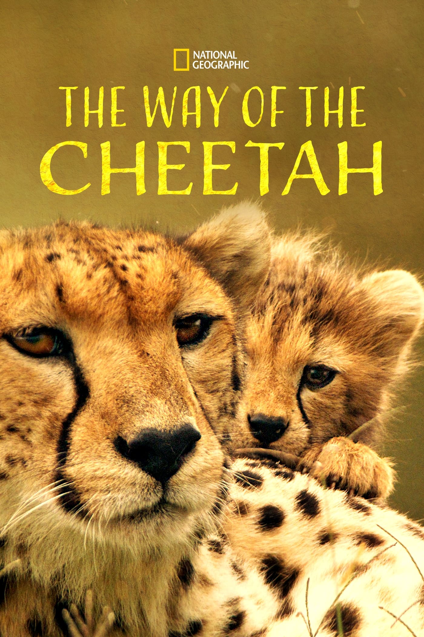 Постер The Way of the Cheetah